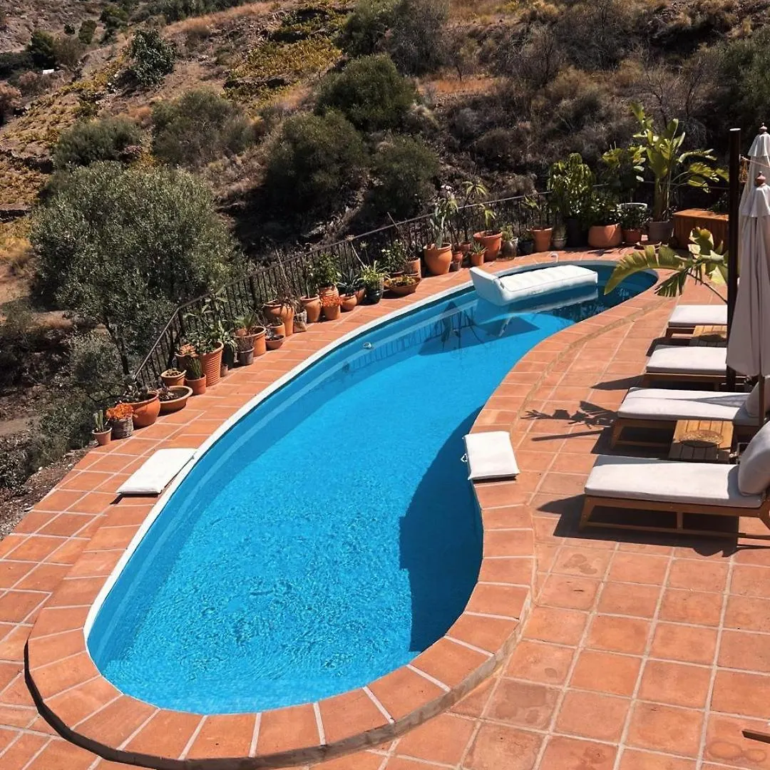 Paso Paso Torrox Apartment