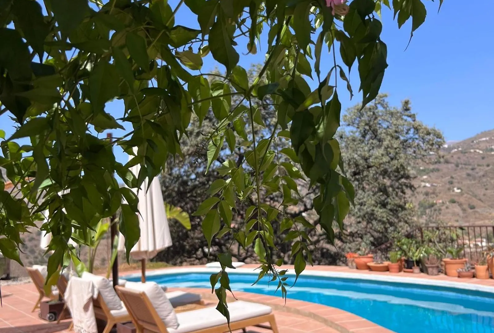 Paso Paso Torrox Apartment