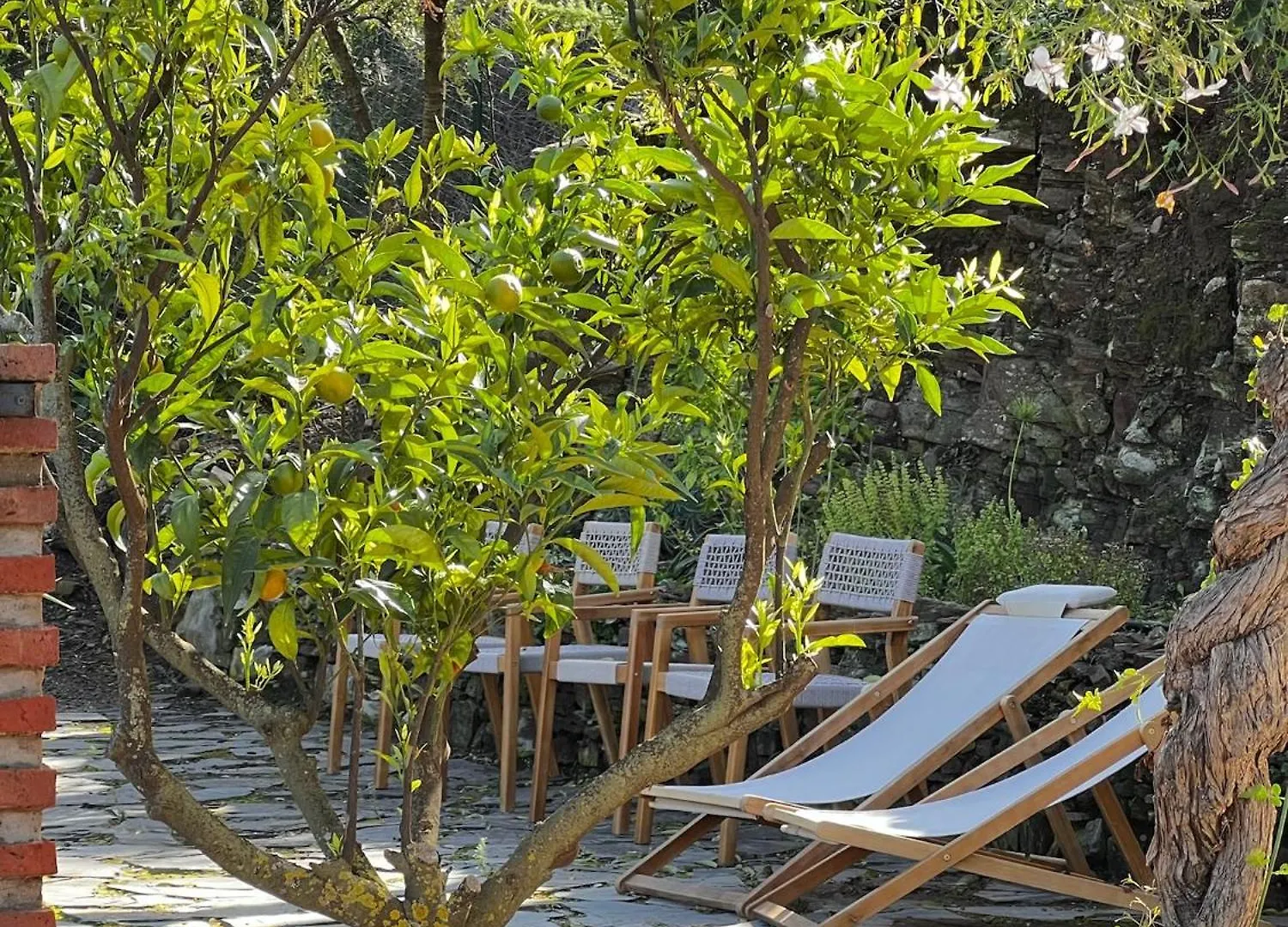 Paso Paso Torrox Apartment